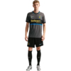 Koszulka męska Nike Inter Mediolan Match 2026/27 szara II6640 069