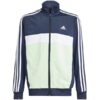 Spodenki męskie adidas Tiro 24 szare IS1408