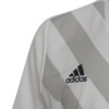 Koszulka dla dzieci adidas Entrada 22 Graphic Jersey biało-szara HF0120