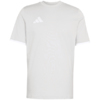Koszulka męska adidas Entrada 26 Tee szara JZ6677