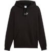 Bluza męska Puma ESS Small No.1 Logo Hoodie czarna 692914 01