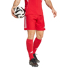 Spodenki męskie adidas Tiro 25 Competition Match czerwone JP4743