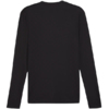 Koszulka męska Puma TeamGOAL Baselayer Tee Longsleeve czarna 658777 03