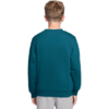 Bluza dla dzieci Nike Sportswear Club Fleece zielona FD3006 372