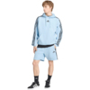 Bluza męska adidas Essentials 3-Stripes Fleece Hoodie błękitna KY4170