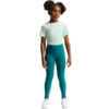 Legginsy dla dzieci Nike One zielone FZ5605 372
