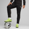 Spodnie męskie Puma Team Goal Training czarne 658639 03