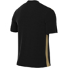 Koszulka męska Nike Dri-FIT Park Derby IV Jersey czarno-złota FD7430 011