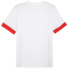 Koszulka męska Puma teamGoal Matchday Jersey biało-czerwona 705747 11