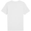 Koszulka męska Puma Graphics Wording Tee biała 684825 02