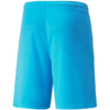 Spodenki męskie Puma teamLIGA błękitne 704924 40