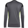 Koszulka bramkarska męska adidas Tiro 25 Competition Long Sleeve Jersey LM szara JN2017