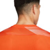Bluza bramkarska męska Nike Dry Park IV JSY LS GK pomarańczowa CJ6066 819