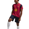 Koszulka męska Nike FC Barcelona bordowa II1839 621