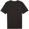 Koszulka męska Puma Team Rise Logo Jersey Cotton czarna 658705 03
