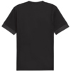Koszulka męska Puma teamGoal Matchday Jersey czarna 705747 03