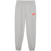 Spodnie dla dzieci Puma ESS Logo Lab Relaxed szare 694675 63