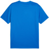 Koszulka męska Puma TeamGoal Jersey niebieska 658636 02
