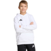 Bluza dla dzieci adidas Entrada 26 Hoody biała JZ6561