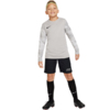 Bluza bramkarska dla dzieci Nike Dry Park IV JSY LS GK JUNIOR szara CJ6072 052