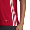 Spodenki męskie adidas Tiro 24 szare IS1408