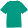 Koszulka dla dzieci Puma TeamGoal Jersey zielona 658637 05