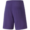 Spodenki męskie Puma teamRISE Short Prist fioletowe 704942 10