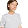 Koszulka dla dzieci adidas Entrada 26 Jersey szara JZ2525