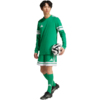 Koszulka męska adidas Squadra 25 Long Sleeve zielona JN7490