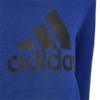 Bluza dla dzieci adidas Youth Essentials Hoodi niebieska HN1912