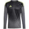 Koszulka bramkarska męska adidas Tiro 25 Competition Long Sleeve Jersey LM szara JN2017