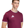 Koszulka męska adidas Entrada 26 Jersey bordowa JZ2507