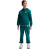 Bluza dla dzieci Nike Sportswear Club Fleece zielona FD3000 372