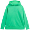 Bluza damska 4F zielona 4FSS23TSWSF535 41S