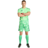 Spodenki męskie adidas Tiro 26 Competition Goalkeeper zielone KC5346