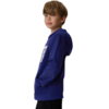 Bluza dla chłopca 4F M2690 kobalt 4FJWAW26TSWSM2690 36S