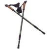 Kijki Nordic Walking Scout Bjorn zielone 3cz