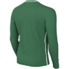 Koszulka dla dzieci Nike Dri-Fit Park 26 Crew Top zielona HM7170 302