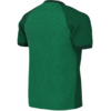 Koszulka dla dzieci Nike Dri-FIT Trophy VI zielona HV8158 302