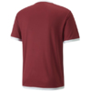 Koszulka męska Puma teamLIGA Jersey bordowa 704917 09