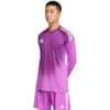 Koszulka bramkarska męska adidas Tiro 25 Competition Goalkeeper Long Sleeve fioletowa JI9726