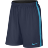 SPODENKI NIKE STRIKE LGR WVN /688390 411  