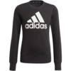 Bluza dla dzieci adidas Essentials Big Logo Sweattshirt czarna GP0040