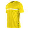 Koszulka piłkarska FORMATION SENIOR (1)  kolor: ŻÓŁTY\BIAŁY