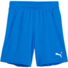 Spodenki dla dzieci Puma Team Goal niebieskie 705753 02