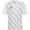 Koszulka dla dzieci adidas Entrada 22 Graphic Jersey biało-szara HF0120