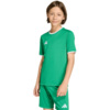 Koszulka dla dzieci adidas Entrada 26 Jersey zielona JZ2528