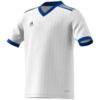 Koszulka dla dzieci adidas Tabela 18 Jersey biało-niebieska FT6683