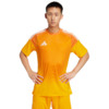 Koszulka bramkarska męska adidas Tiro 25 Competition Jersey Short Sleeve pomarańczowa JN4502 