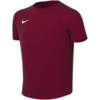 Koszulka dla dzieci Nike Dri-Fit Park VIII bordowa HV8182 677